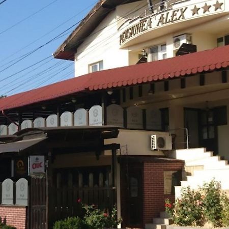 Vila Alex&Razvan ทูลเซีย ภายนอก รูปภาพ